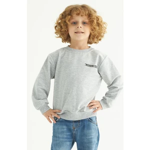 Bisiklet Yaka Uzun Kol Weekend Feel Baskılı Gri Renk Erkek Çocuk Sweatshirt