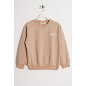 Bisiklet Yaka Uzun Kol Weekend Feel Baskılı Vizon Renk Erkek Çocuk Sweatshirt