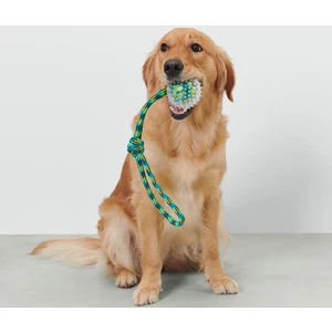 Köpek Oyuncağı