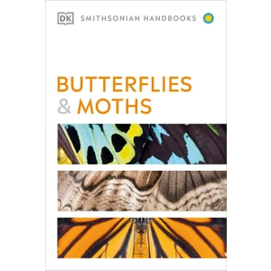 Butterflies and Moths - David Carter