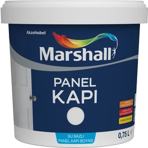 Su Bazlı Panel Kapı Boyası