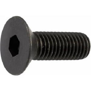 M3X10 Havşa Başlı Imbus Cıvata (150 Adet)