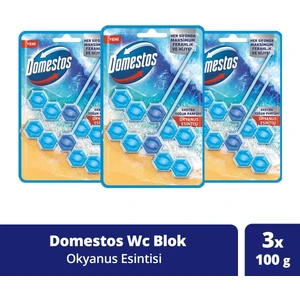 Wc Blok 5'li Güç Tuvalet Bloğu Okyanus Ferahlığı Maksimum Hijyen 100 gr x 3 Adet