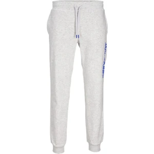 Jack & Jones Erkek Jpstgordon Pamuklu Eşofman Altı 12258477