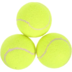 Başlangıç Seviye Antrenman Tenis Topu 3 Adet Veya Köpek Oyuncağı