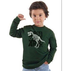 Roarr Dino Erkek Çocuk Haki Sweatshirt
