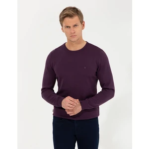 Pierre Cardin Erkek Mor Slim Fit Bisiklet Yaka Basic Triko Kazak 50257290-VR038