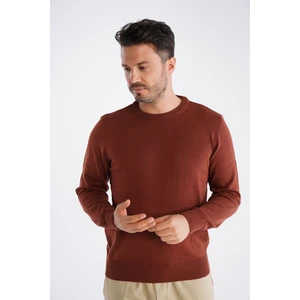 Trist Star Erkek Taba  Pamuklu Bisiklet Yaka Triko Kazak TRIST-1101