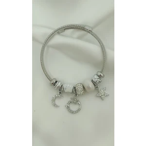Stainless Steel Pandora Bileklik