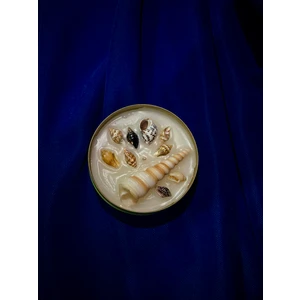 Okyanus Esintili Deniz Kabuğu Temalı Dekoratif Meditasyon ve Yoga Mumu