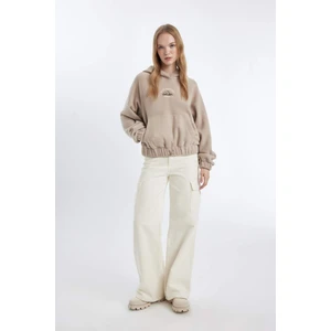 Coool Loose Fit Kapüşonlu Kanguru Cepli Polar Sweatshirt C8197AX24WN