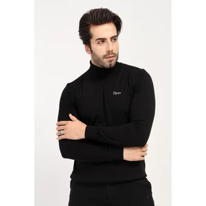 Balıkçı Yaka Regular Fit Triko Kazak