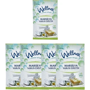 Wellnax Breeze Refresh Askılı Dolap Kokusu Çekmece Içi Koku Dolap Içi Elbise Giysi Kokusu Çamaşır Kokusu 4'lü