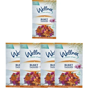 Wellnax Breeze Refresh Askılı Dolap Kokusu Çekmece Içi Koku Dolap Içi Elbise Giysi Kokusu Çamaşır Kokusu 4'lü