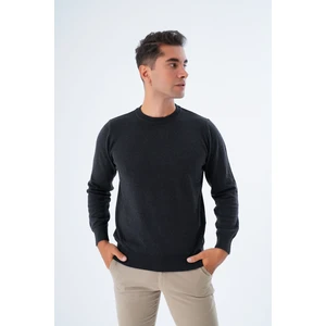 Trist Star  Erkek Antrasit %100 Pamuk Bisiklet Yaka Triko Kazak TRIST-1101