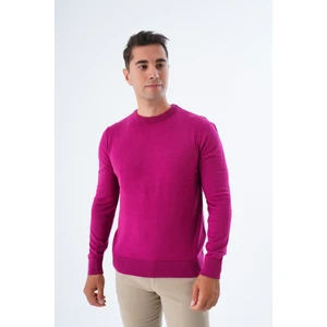 Trist Star  Erkek Rose %100 Pamuk Bisiklet Yaka Triko Kazak TRIST-1101