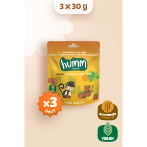 Organik Glutensiz Vegan Muzlu Kek Atıştırmalık Paketi - 3 Adet