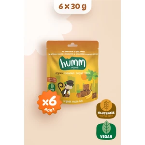 Organik Glutensiz Vegan Muzlu Kek Atıştırmalık Paketi - 6 Adet