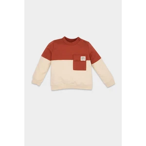 Erkek Bebek Bisiklet Yaka Renk Bloklu İçi Yumuşak Tüylü Sweatshirt D6230A5NS