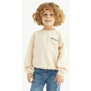 Bisiklet Yaka Uzun Kol Weekend Feel Baskılı Bej Renk Erkek Çocuk Sweatshirt
