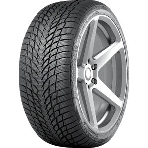 Nokian Tyres 205/45 R17 88V XL WR Snowproof P Kış Lastiği ( Üretim Yılı: 2024 )