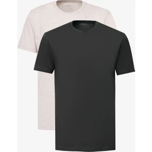 Altınyıldız Classics 2'li Paket Slim Fit Dar Kesim Pamuklu Basic Tişört