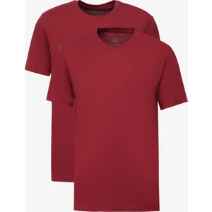 Altınyıldız Classics 2'li Paket Slim Fit Dar Kesim Pamuklu Basic Tişört