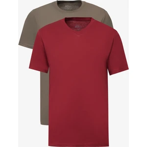 Altınyıldız Classics 2'li Paket Slim Fit Dar Kesim Pamuklu Basic Tişört