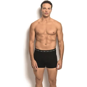 Erkek Bambu Siyah 3'lü Boxer 282