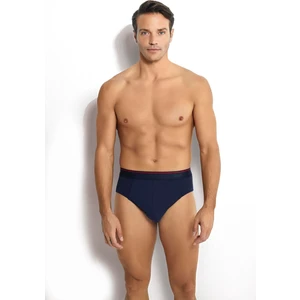 Erkek Lacivert Slip 3'lü Külot 150