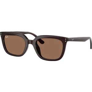 RB4439D 6231/73 54 Unisex Güneş Gözlüğü