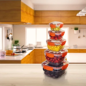 Dema Grup 5'li Set Master Kare Saklama Kabı (275 ml - 500 ml - 900 ml - 1500 ml - 2400 Ml)