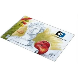 Alex Schoeller Resim Defteri Spiralli 50x70 120gr. 20 Yaprak
