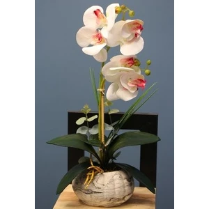 Yapay Çiçek Deposu Dekoratif 2li Mini Yapay Islak Orkide Tanzimi Beyaz-Fuşya 45 Cm
