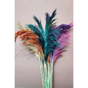 Dekoratif Şoklanmış 15'li  Pampas Otu Karışık Renk 100 cm
