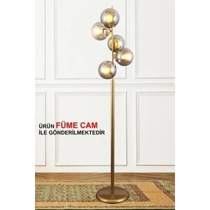 Modena 5 Li Eskitme Lambader-Füme Camlı