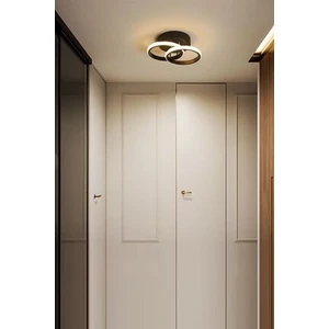 Ömür Avize Holled Hol Koridor Giriş Için Modern Ledli Avize