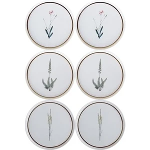 Botanical Karma 6 Kişilik Pasta Takımı 21 cm