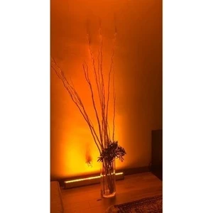 LED Wallwasher Amber Duvar Boyama