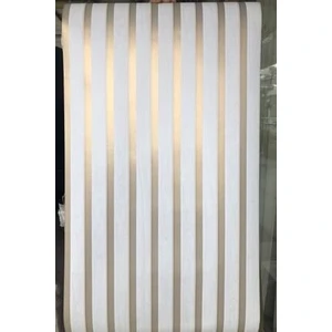 Bien Exclusive 6350 Beyaz Gold Lambri Panel Ahşap Duvar Çıtası Desenli Duvar Kağıdı 5,30 M²