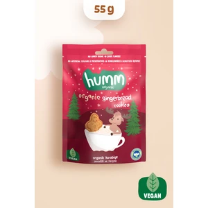 Humm Organic Nessiworld Humm Organik Zencefilli ve Tarçınlı Vegan Kurabiye 55 Gr