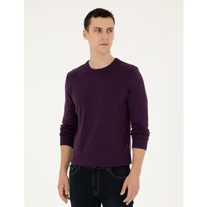 Pierre Cardin Erkek Mor Slim Fit Bisiklet Yaka Basic Triko Kazak 50296575-VR038
