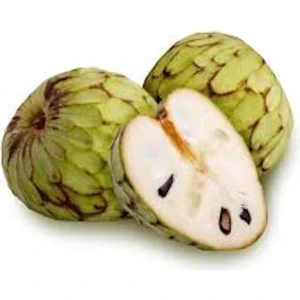 3 Adet Tohum Nadir Tropikal Çerimoya Meyvesi Tohumu Ağaç Tohumu Saksı Toprak