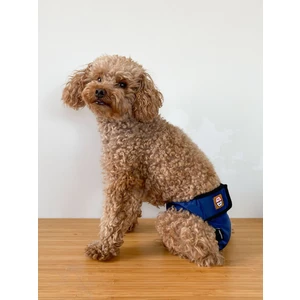 Köpek regl külot, Dişi köpek külodu, Köpek çiş bezi - Mavi