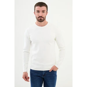 Düz Ekru Slim Fit Bisiklet Yaka Uzun Kollu Erkek T-Shirt