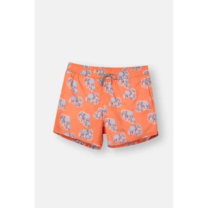 Multıcolor Kısa Şort