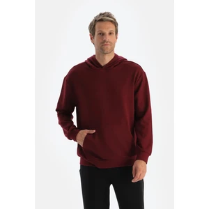 Bordo Erkek Modal Kapişonlu Sweatshırt