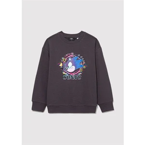 M6S10091-70087 Erkek Çocuk Sonıc Baskılı Sweatshirt