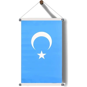 Always Teknoloji Askılı Doğu Türkistan Poster 30X50 cm