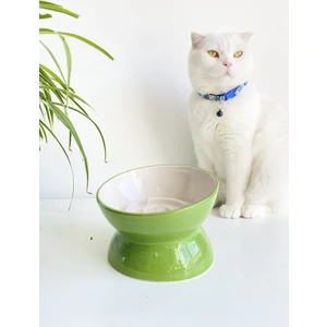 Seramik Yavaş Yeme Kedi Mama Kabı (Yeşil)